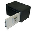 biometric safe